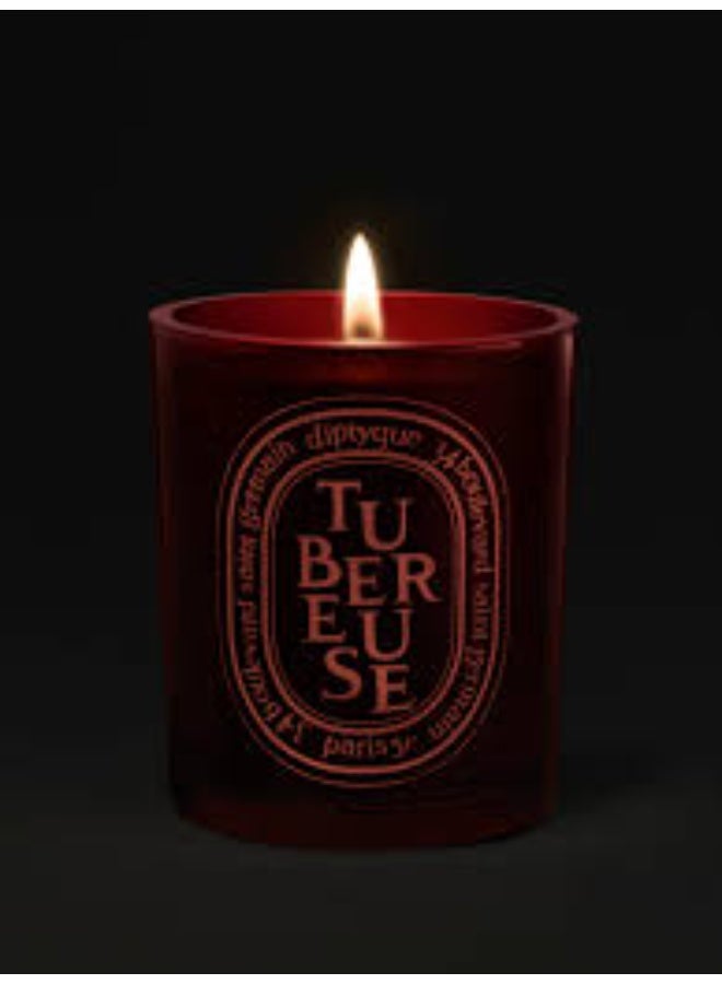 ديبتيكيو ديبتيك شمعة معطرة متوسطة الحجم برائحة نبات التوبروز  ٣٠٠ غرام - Image 2